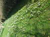 20160325150036-DSCF3074.JPG