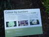 20160325151905-DSCF3076.JPG