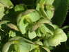 20160325152048-DSCF3079.JPG