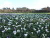 20160325153553-DSCF3087.JPG