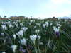 20160325153616-DSCF3088.JPG