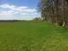 20160419132506-2016-04-19_13.25.06.jpg