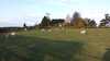 20160423070324-20160423_070325.jpg