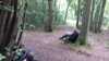 20160528114253-2016-05-28_11.42.53.jpg
