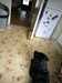 20160612105025-2016-06-12_10.50.25.jpg
