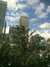 20160625105852-Photo_25-06-2016,_11_58_52.jpg