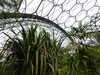 2016-08-13:Eden Project
