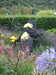 20160813115500-DSCF3191.JPG