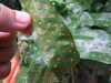 20160813120440-DSCF3197.JPG