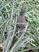 20160813124635-DSCF3219.JPG