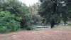 20160915175121-Photo_15-09-2016,_17_51_21.jpg
