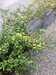 20160917140852-Photo_17-09-2016,_13_08_52.jpg