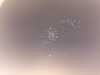 20161105195157-Photo_05-11-2016,_19_51_57.jpg