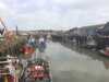 2017-02-18:Whitstable
