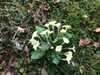 20170317130302-Photo_17-03-2017,_13_03_02.jpg