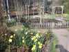 20170402101108-Photo_02-04-2017,_10_11_08.jpg