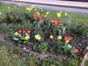 20170402101152-Photo_02-04-2017,_10_11_52.jpg