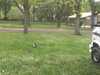 20170415094224-2017-04-15_09.42.24.jpg