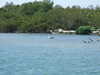 20170422164803-DSCF3666.JPG