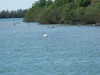 20170422164821-DSCF3667.JPG