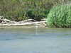 20170422164848-DSCF3668.JPG