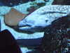 20170423133201-DSCF3678.JPG