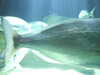 20170423133425-DSCF3682.JPG