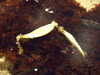 20170423134442-DSCF3698.JPG