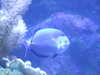 20170423134752-DSCF3701.JPG
