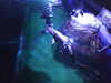20170423140057-DSCF3713.JPG