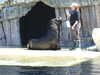 20170423143950-DSCF3727.JPG