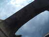 20170424095248-09520058.JPG