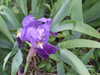 20170425135451-DSCF3740.JPG