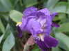 20170425135455-DSCF3741.JPG