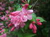 20170426172545-DSCF3778.JPG