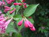 20170426172549-DSCF3779.JPG