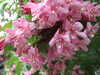 20170426172558-DSCF3780.JPG
