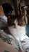 20170428074343-Photo_28-04-2017,_07_43_43.jpg