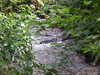 20170812121355-DSCF3817.JPG
