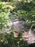 20170812121818-2017-08-12_12.18.18_HDR.jpg