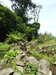 20170825151814-DSCF3940.JPG