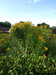 20170825162054-DSCF3990.JPG