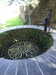 20170825163238-DSCF4005.JPG