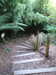 20170825172434-DSCF4007.JPG
