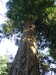20170825172438-DSCF4008.JPG