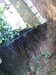 20170825173010-DSCF4013.JPG