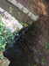 20170825173021-DSCF4014.JPG