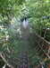 20170825174905-DSCF4018.JPG