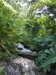 20170827132950-DSCF4055.JPG