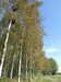 20170921125932-DSCF4149.JPG